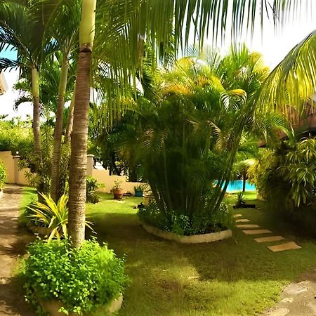 Alona42 Resort Panglao Extérieur photo